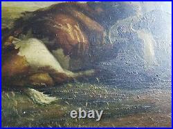 Antique / Old Vintage Style Oil Painting on Metal. Signed Highland Cattle
