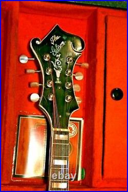 Mandolin Parts Plays Old Vintage F Style Hand Made USA
