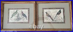 Pair Of Vintage Lithographs, Birds, Painted Old style Framed Art