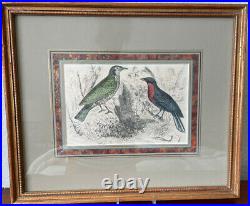 Pair Of Vintage Lithographs, Birds, Painted Old style Framed Art