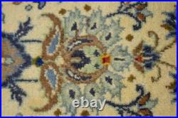 Rare Vintage Handmade Oriental Wool Rug Classic Style Home Decor Carpet 10X13 ft