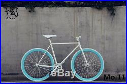 Retro Bicycle Vintage Bike DIY customize Old city street bike style chick cyclin