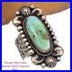 SONORAN-GOLD-Turquoise-Ring-Vintage-Squash-Blossom-Style-ALBERT-JAKE-8-Old-Pawn-01-kobq