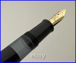 Vintage Pelikan M250 Old Style Black Gold Plated Fountain Pen 14K Gold Nib